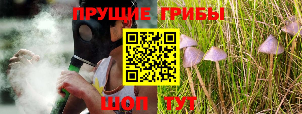 Ухта  Галлюциногенные грибы Psilocybe  Галлюциногенные грибы Psilocybe  Вход с VPN 